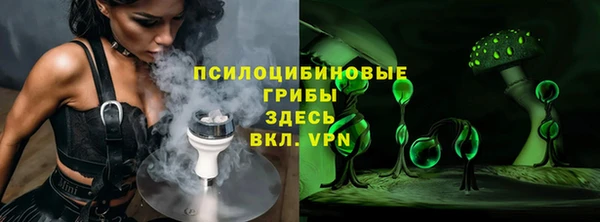 PSILOCYBIN Аркадак