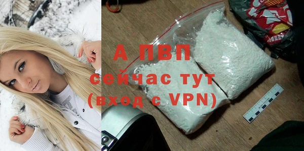PSILOCYBIN Аркадак