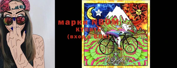 PSILOCYBIN Аркадак