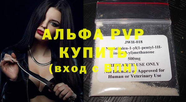 PSILOCYBIN Аркадак