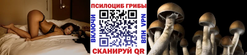 Галлюциногенные грибы ЛСД  закладки  Мариинск 